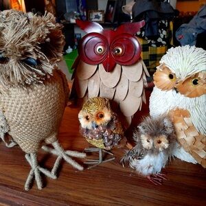 Amazing Owl collection